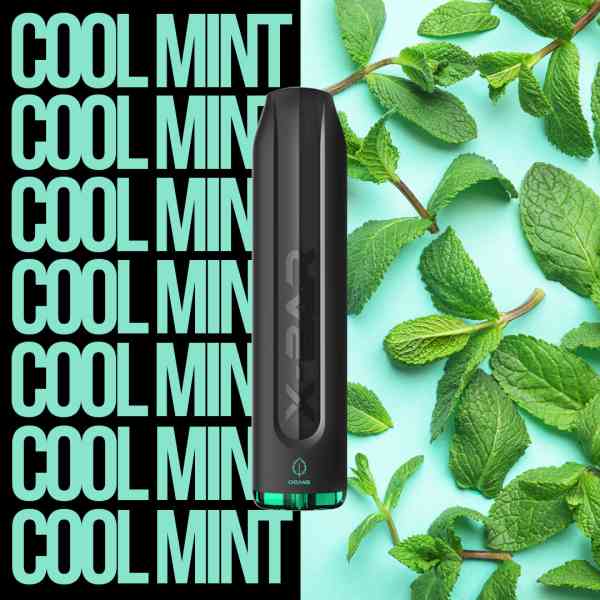 X Bar - Cool Mint Einweg E-Zigarette