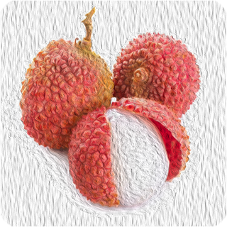 Lychee 10 ml Aroma
