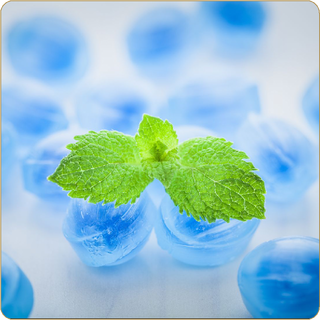 Eukalyptus-Minze 10 ml Aroma