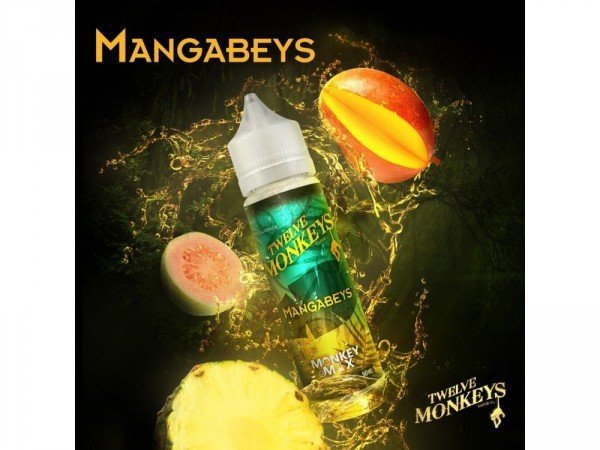 Twelve Monkeys - Mangabeys DIY