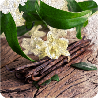 Vanille 10 ml Aroma