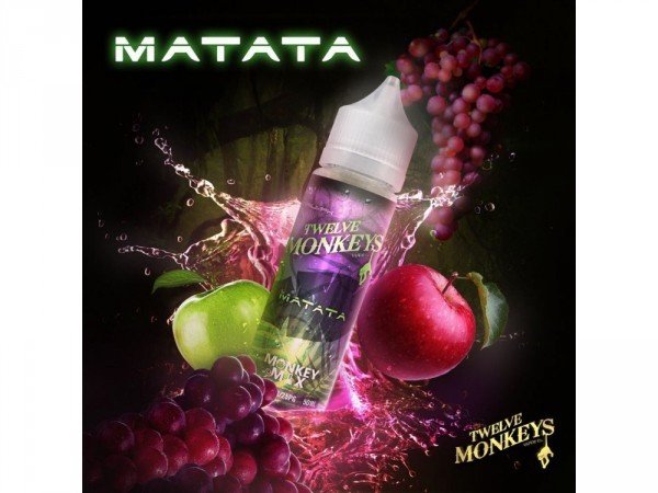 Twelve Monkeys - Matata DIY