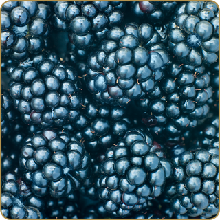 Brombeere 10 ml Aroma